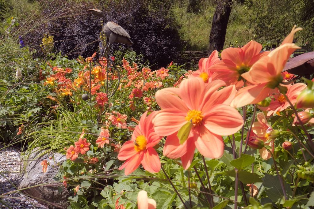 Pension Aloisia Scheffau am Wilden Kaiser Eksteriør billede
